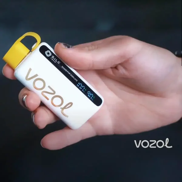 vozol 12000 boyutu